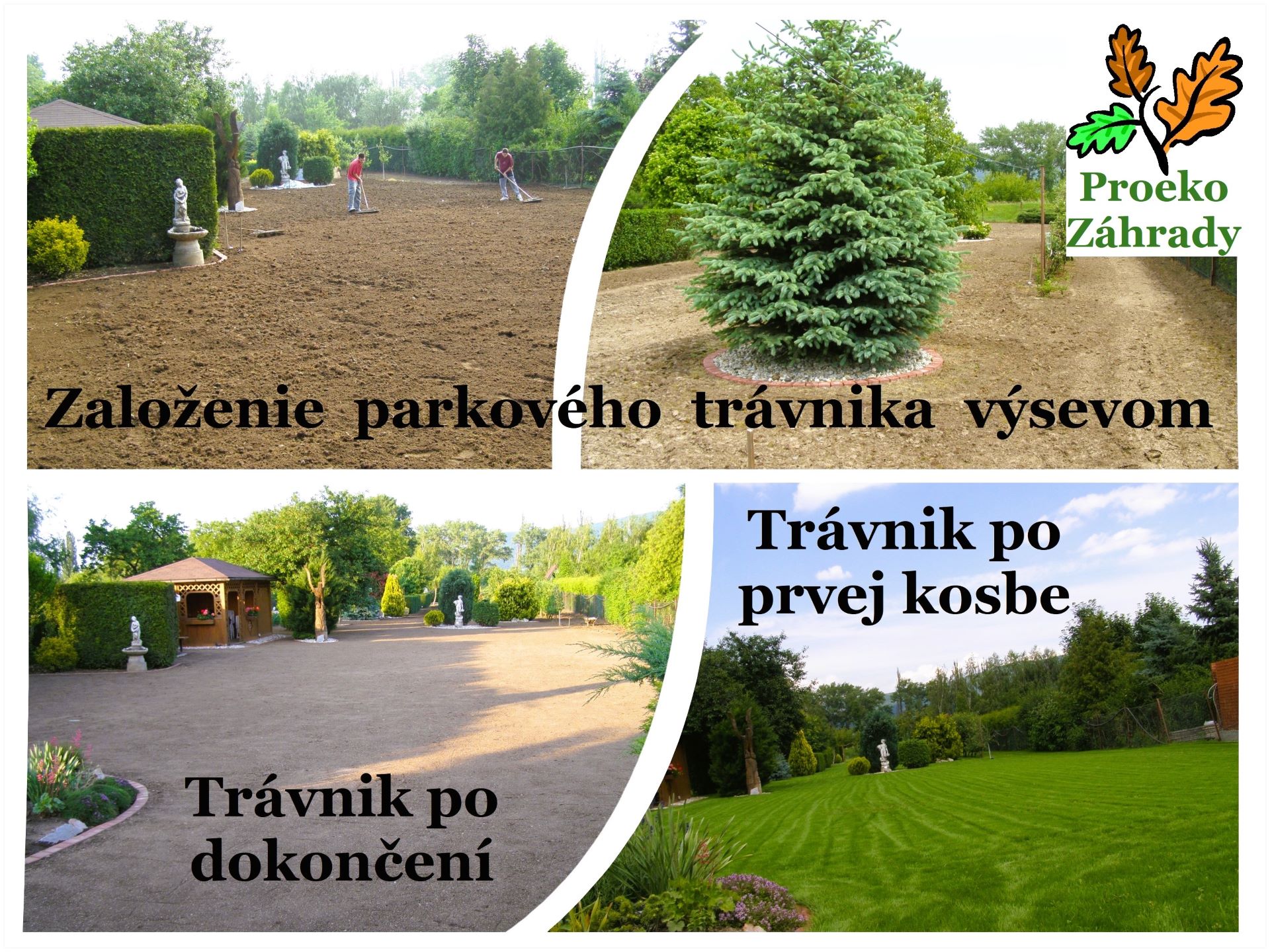 záhrada